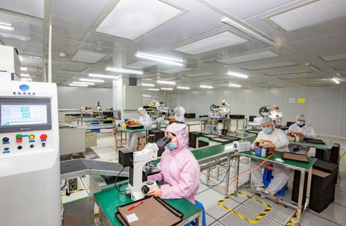 奮進(jìn)在春光里 電子信息產(chǎn)業(yè)滿(mǎn)園春色，信息技術(shù)咨詢(xún)服務(wù)賦能向海圖強(qiáng)